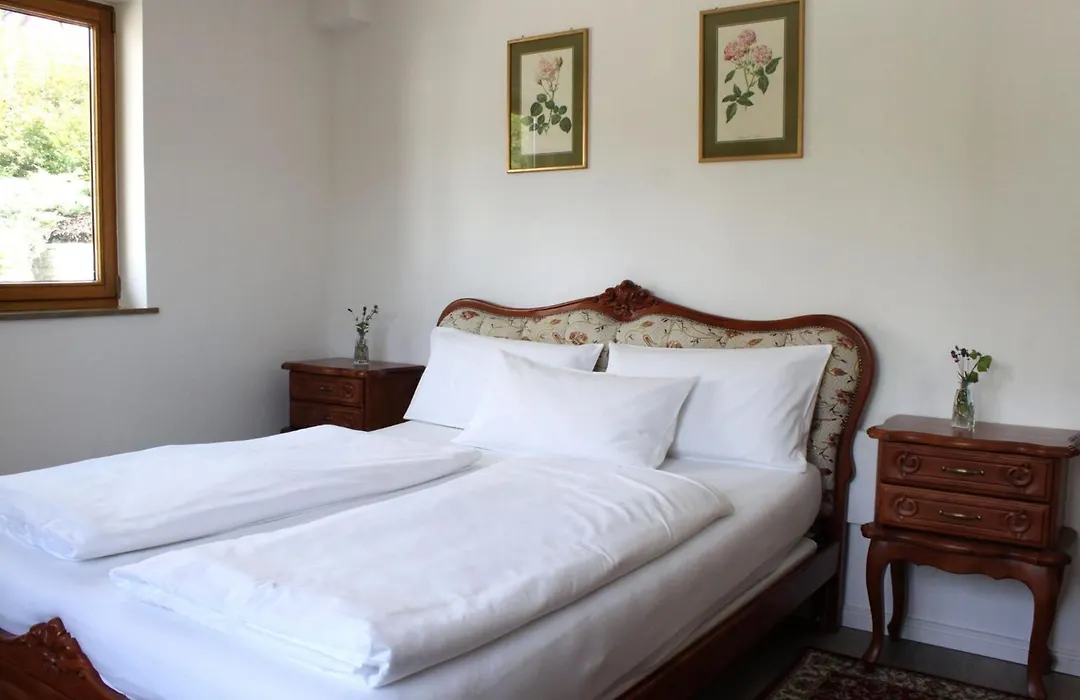 Hotel Viktoria-1